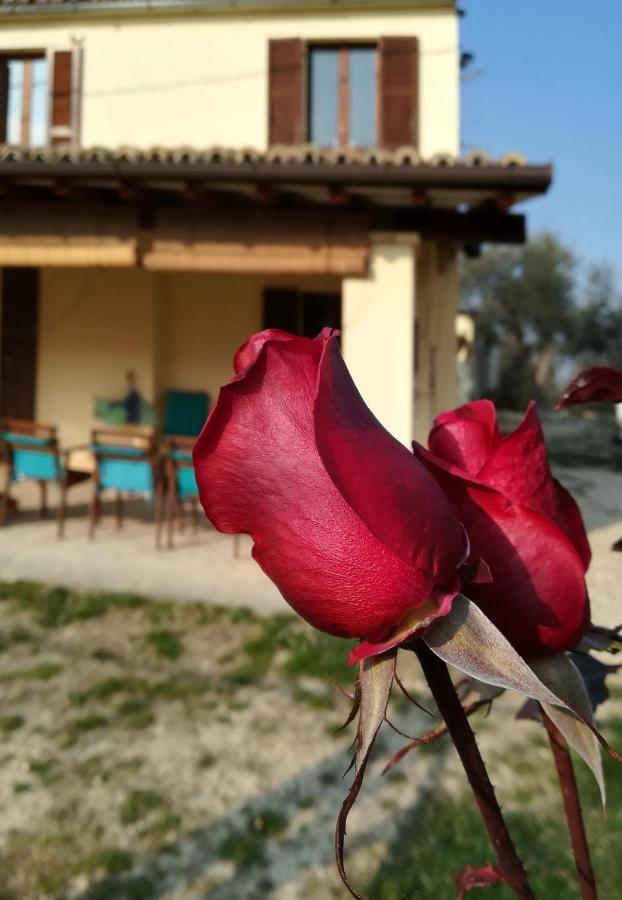 B&B Conca Del Pretore Loreto Aprutino Kültér fotó