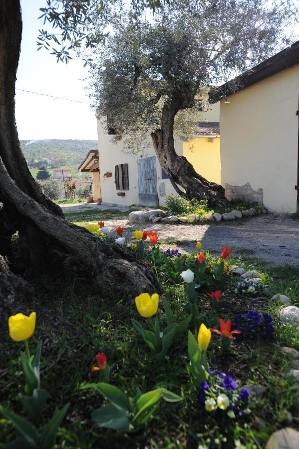 B&B Conca Del Pretore Loreto Aprutino Kültér fotó