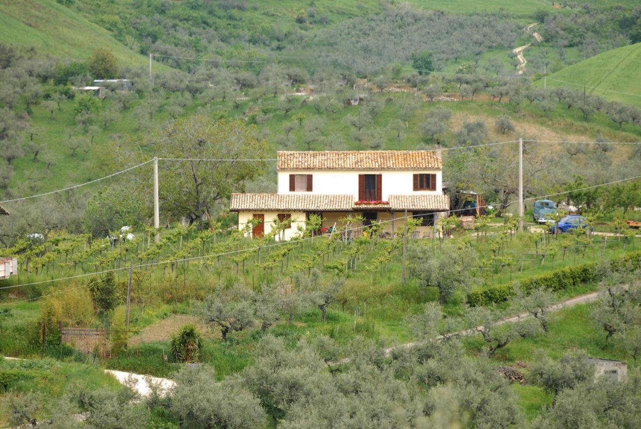 B&B Conca Del Pretore Loreto Aprutino Kültér fotó