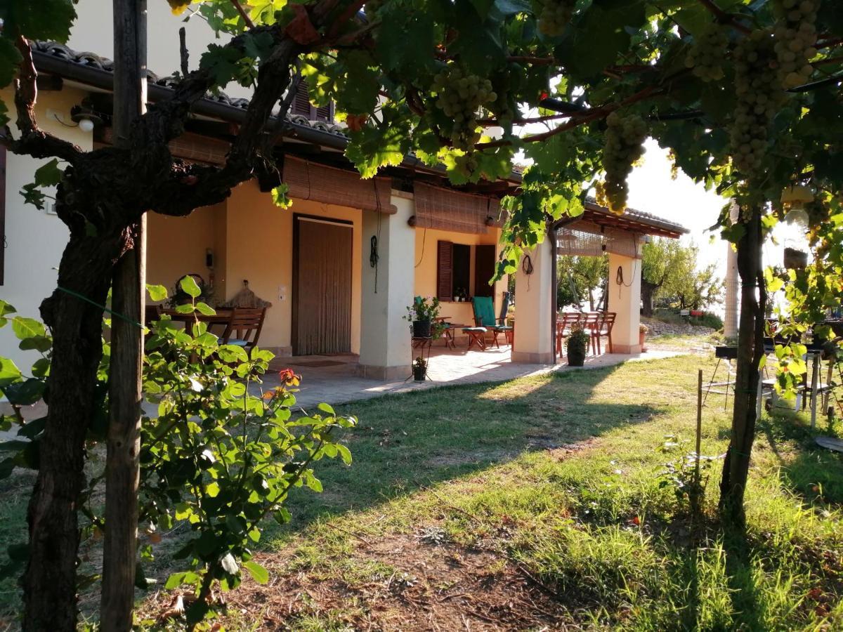 B&B Conca Del Pretore Loreto Aprutino Kültér fotó