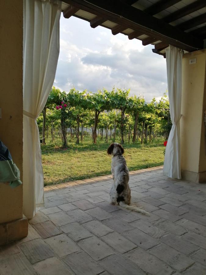 B&B Conca Del Pretore Loreto Aprutino Kültér fotó