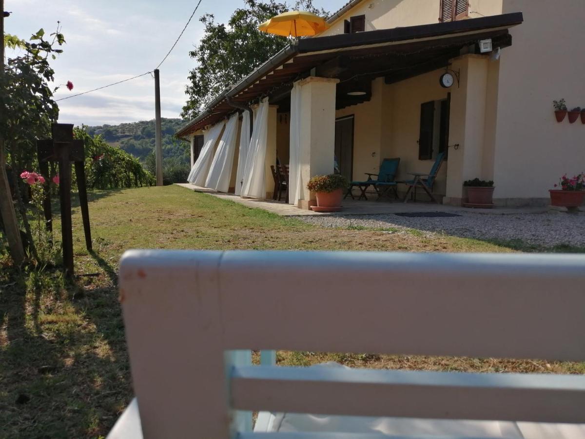B&B Conca Del Pretore Loreto Aprutino Kültér fotó